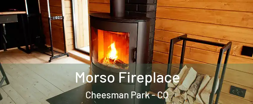 Morso Fireplace Cheesman Park - CO