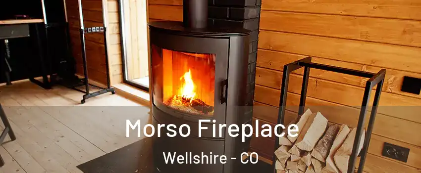 Morso Fireplace Wellshire - CO