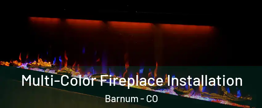 Multi-Color Fireplace Installation Barnum - CO