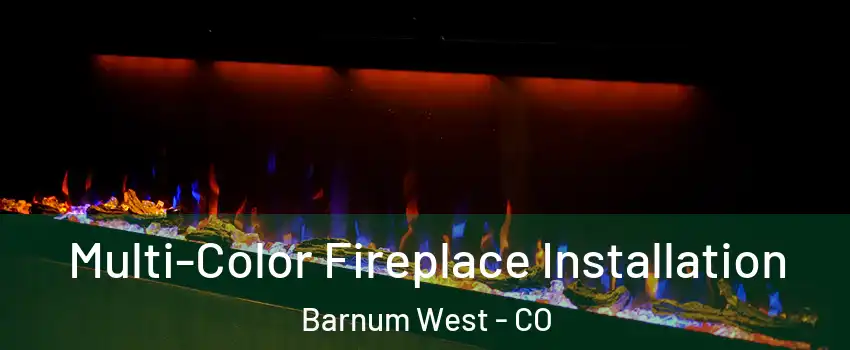 Multi-Color Fireplace Installation Barnum West - CO