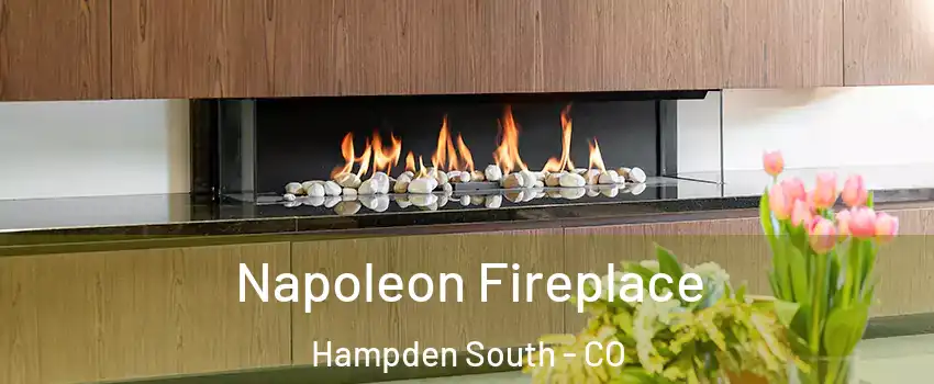 Napoleon Fireplace Hampden South - CO