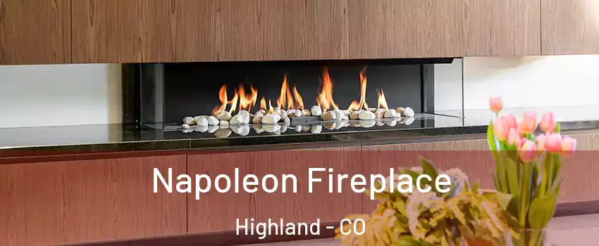 Napoleon Fireplace Highland - CO