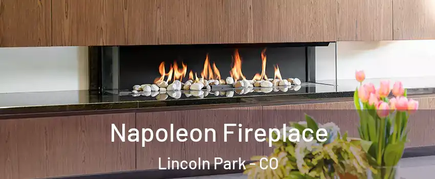 Napoleon Fireplace Lincoln Park - CO