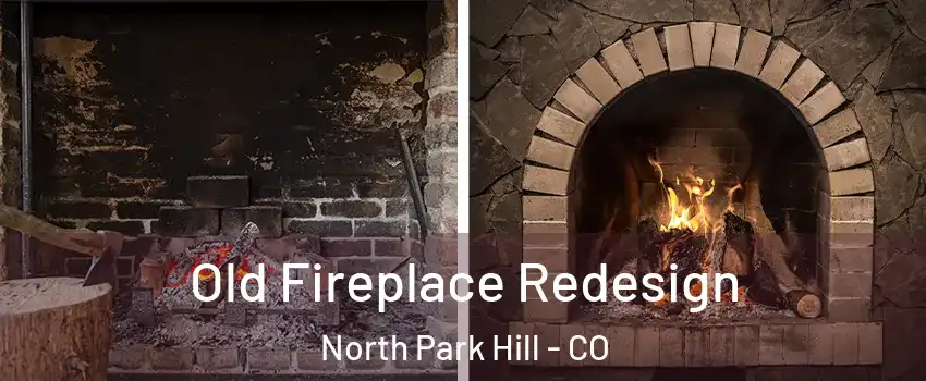 Old Fireplace Redesign North Park Hill - CO