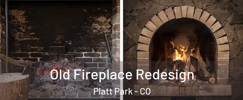 Old Fireplace Redesign Platt Park - CO