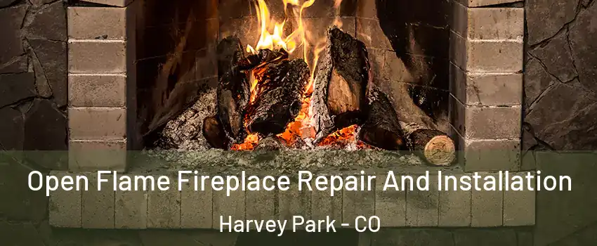 Open Flame Fireplace Repair And Installation Harvey Park - CO