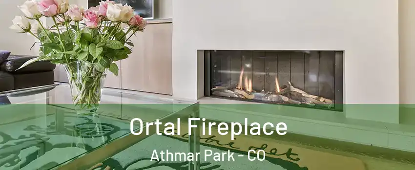 Ortal Fireplace Athmar Park - CO