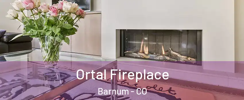 Ortal Fireplace Barnum - CO