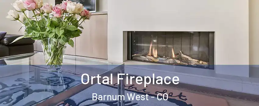 Ortal Fireplace Barnum West - CO