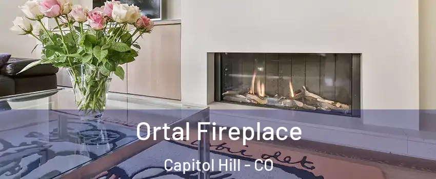 Ortal Fireplace Capitol Hill - CO