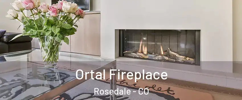 Ortal Fireplace Rosedale - CO