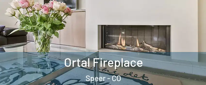 Ortal Fireplace Speer - CO