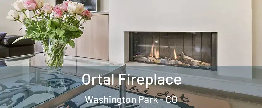 Ortal Fireplace Washington Park - CO