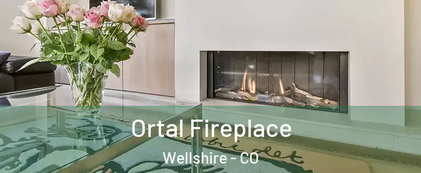 Ortal Fireplace Wellshire - CO