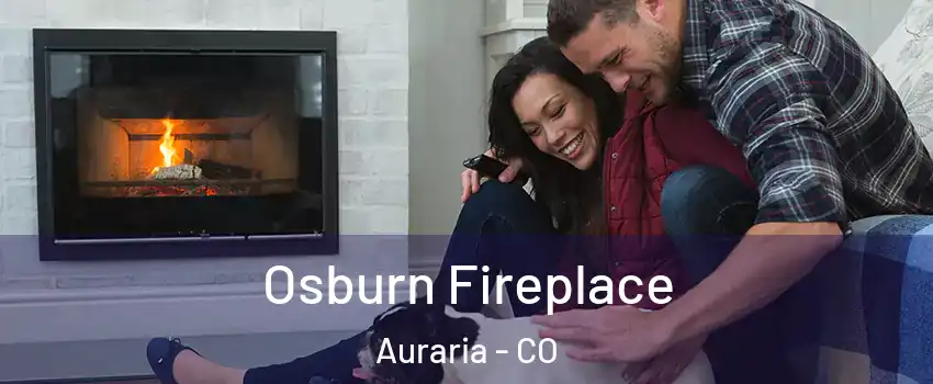 Osburn Fireplace Auraria - CO