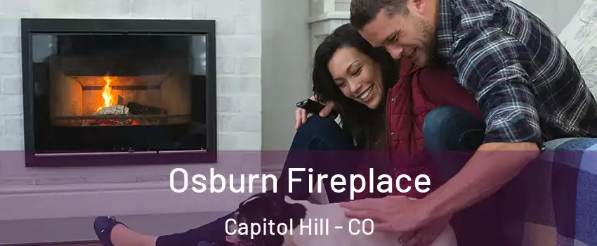 Osburn Fireplace Capitol Hill - CO