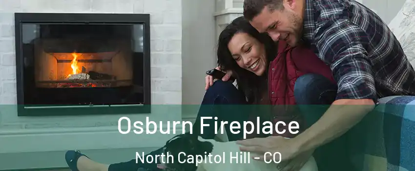 Osburn Fireplace North Capitol Hill - CO