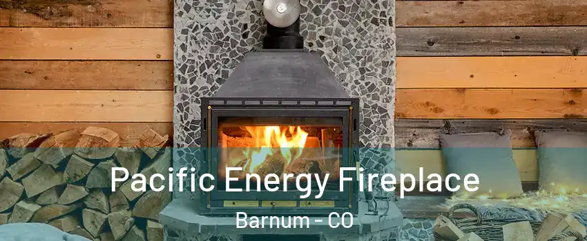 Pacific Energy Fireplace Barnum - CO