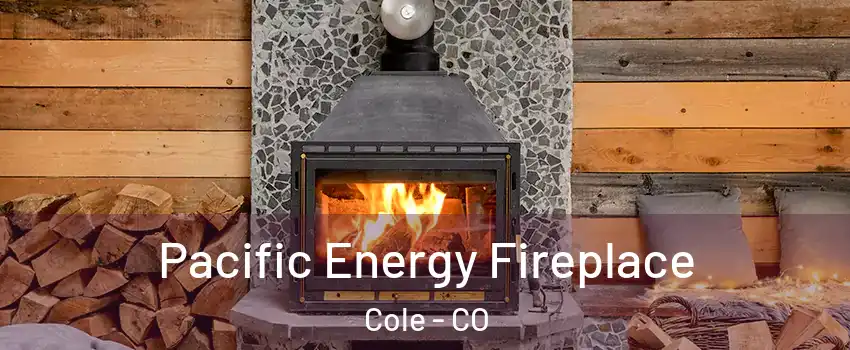 Pacific Energy Fireplace Cole - CO