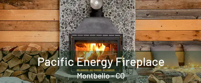 Pacific Energy Fireplace Montbello - CO