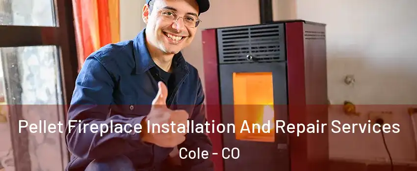 Pellet Fireplace Installation And Repair Services Cole - CO