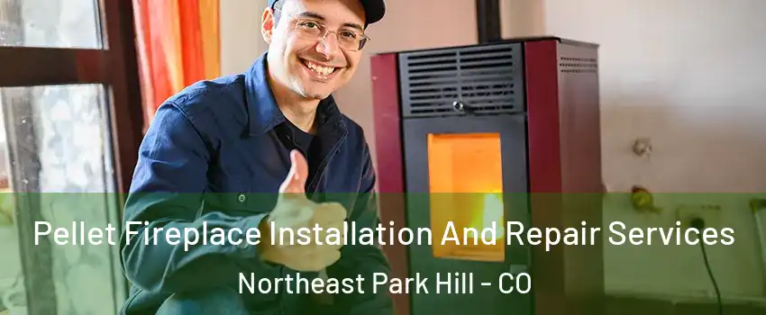 Pellet Fireplace Installation And Repair Services Northeast Park Hill - CO