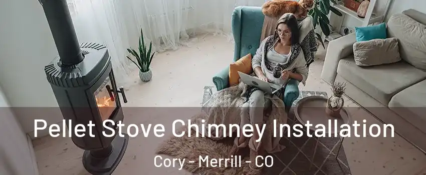 Pellet Stove Chimney Installation Cory - Merrill - CO