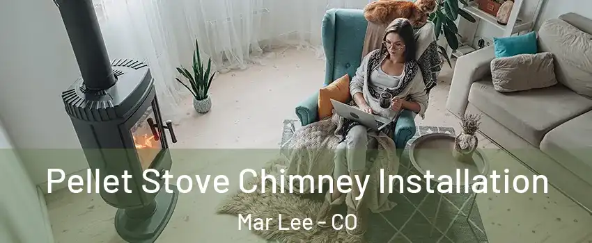 Pellet Stove Chimney Installation Mar Lee - CO