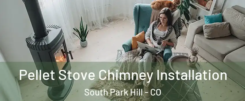 Pellet Stove Chimney Installation South Park Hill - CO