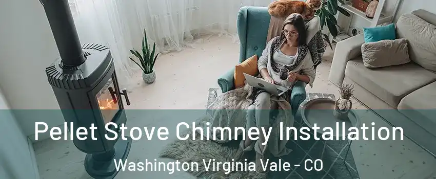 Pellet Stove Chimney Installation Washington Virginia Vale - CO