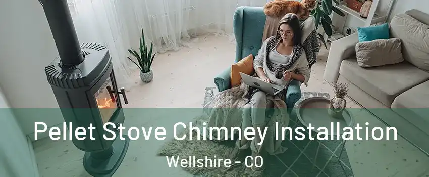 Pellet Stove Chimney Installation Wellshire - CO