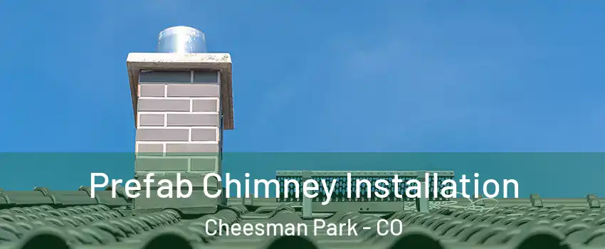 Prefab Chimney Installation Cheesman Park - CO