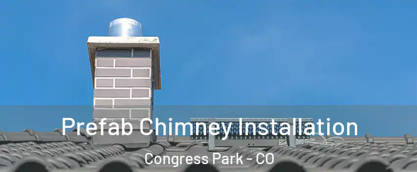 Prefab Chimney Installation Congress Park - CO