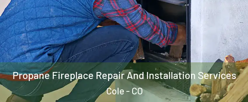 Propane Fireplace Repair And Installation Services Cole - CO