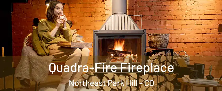 Quadra-Fire Fireplace Northeast Park Hill - CO