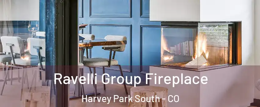 Ravelli Group Fireplace Harvey Park South - CO