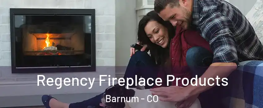 Regency Fireplace Products Barnum - CO