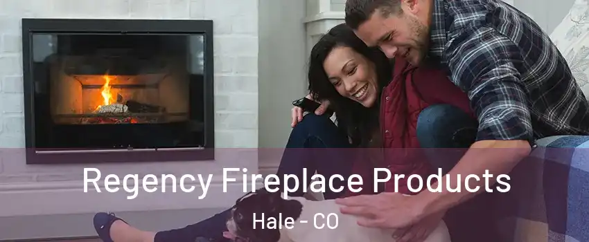 Regency Fireplace Products Hale - CO