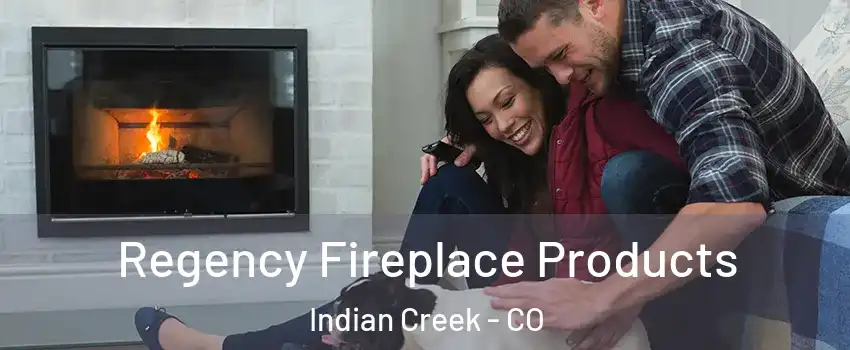 Regency Fireplace Products Indian Creek - CO