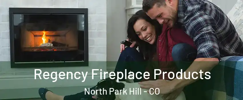 Regency Fireplace Products North Park Hill - CO