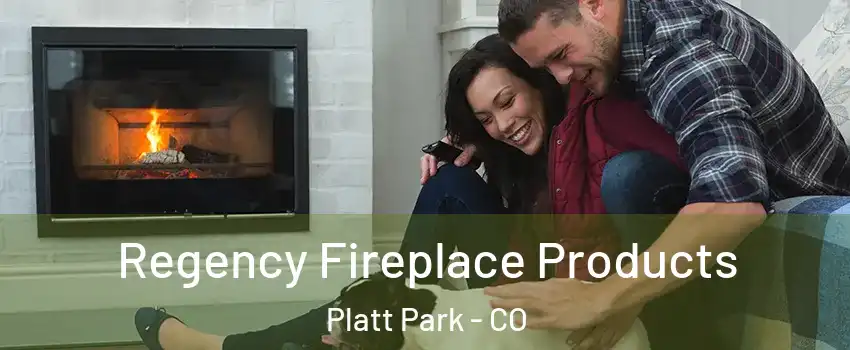 Regency Fireplace Products Platt Park - CO