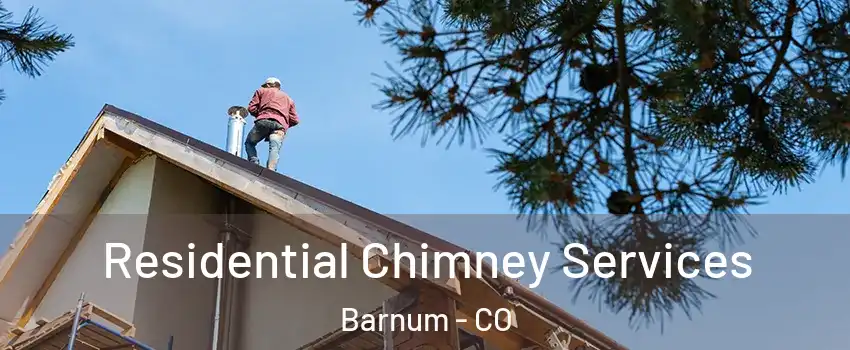 Residential Chimney Services Barnum - CO