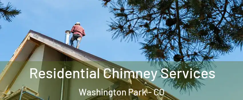 Residential Chimney Services Washington Park - CO