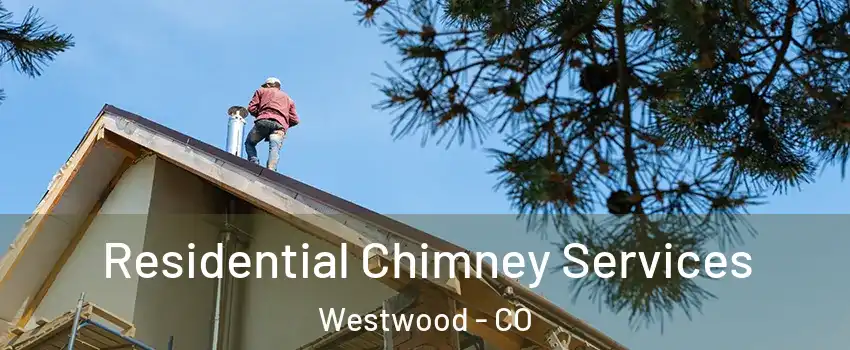 Residential Chimney Services Westwood - CO