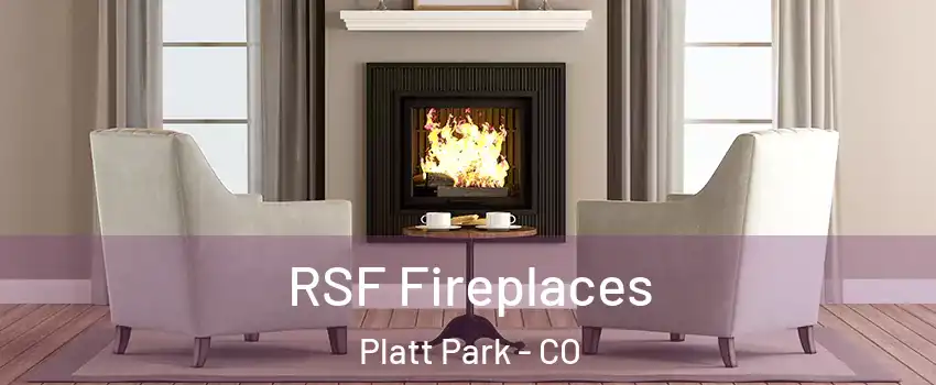 RSF Fireplaces Platt Park - CO