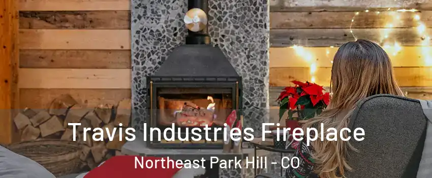 Travis Industries Fireplace Northeast Park Hill - CO