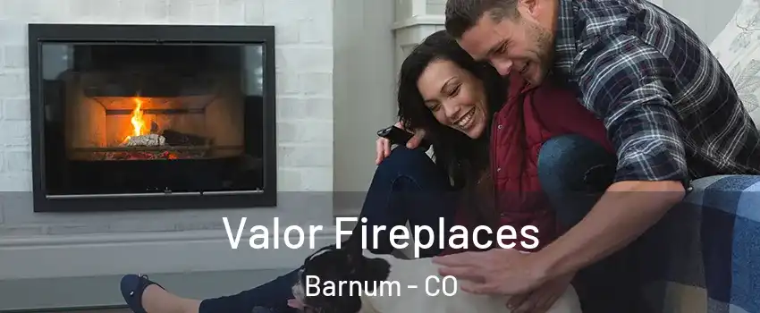 Valor Fireplaces Barnum - CO