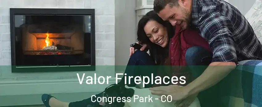 Valor Fireplaces Congress Park - CO