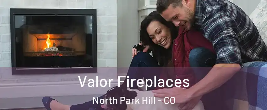 Valor Fireplaces North Park Hill - CO