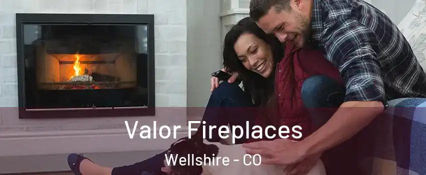 Valor Fireplaces Wellshire - CO